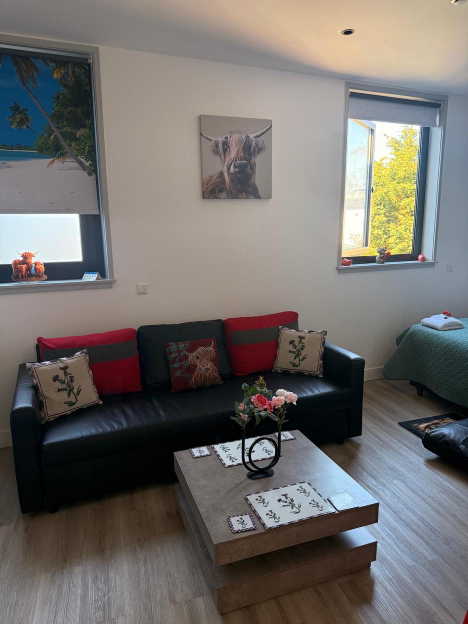 Scottish Thistle Apartment Zandvoort